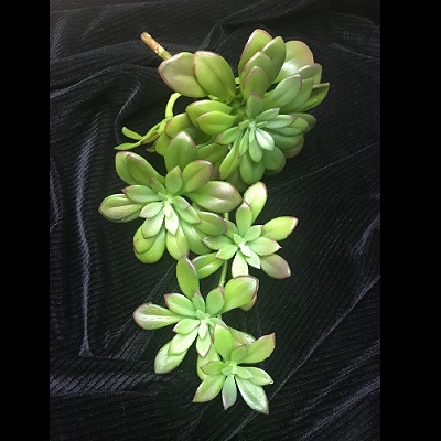 Trailing Echeveria - Greenery & Floral - hanging succulent stems artificial for rent